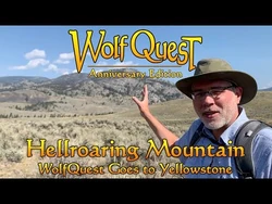 Hellroaring Mountain (WolfQuest Goes to Yellowstone) posted 14-Sep-2023