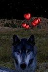 WQ-AE Affinity mate-heart-shuriken.png (1.04 MB) Mate affinity gain/increase