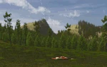 Ravens arrive (2.7.2).gif (422 KB) Ravens landing on an elk carcass.