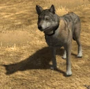 Emote-playbow1f (2.7)