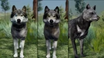 BuildingCharacterPack-Preview1.jpg (78 KB) Image