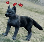 WQ-AE Affinity pup-heart-shuriken.png (427 KB) Pup affinity gain/increase