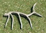 WQ-AE Antlers Bull-Elk2
