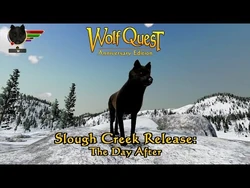 Slough Creek Release: The Day After posted 31-Dec-2020