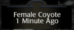 HUD scentview coyote (2.7).png (26 KB) Scent identifier of another animal.