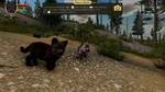 PupCam