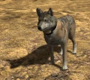 Emote-grinf (2.7)