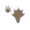 beaver track