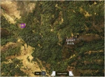 WQ-AE AM gnarled-tree-b minimap