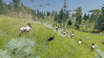 Elk herd fleeing from a player-wolf on the hunt