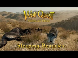 Sleeping Beauties posted 25-Jun-2020