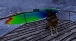 WQ-AE Landmarks-LR-AE Elder-Spring