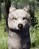 WQ-AE Emote whine-front