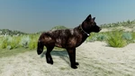 WQ-AE injuries rearleg-right.png (2.41 MB) Injured right hind leg demonstration