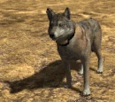 Emote-tailunderf (2.7)