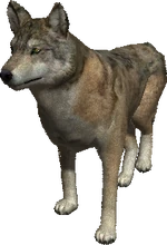 2.7 body limpy