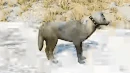 WQ-AE emote enhanced-playful-trot confident tail-side