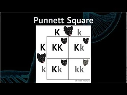 Genes Behind the Scenes posted 19-Apr-2018