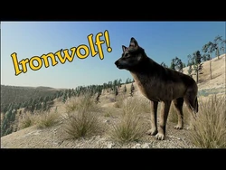 Ironwolf posted 8-Apr-2021