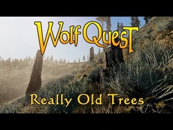 Really Old Trees posted 25-Apr-2019