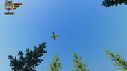 Vehicles (1.93 MB) Learn about Airplanes & Vehicles