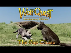 The Pup Chase posted 8-Jun-2023