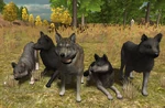 Multiplayer pack 2.7