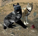 WQ-AE Multiplayer Wikian.png (1,003 KB) Image
