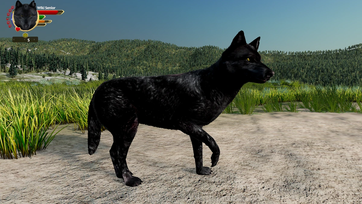 Limpy | WolfQuest Wiki | Fandom