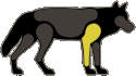 WQ-AE Injuries Silhouette-Legs-Minor