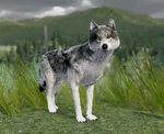 WQ-AE Knowledge-Base 715F.jpg (88 KB) 715F