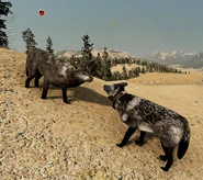 Wolf (1.18 MB) Meet the Wolves: rival strangers, dispersals (and their groups) as prospective mates, offspring, and packmates