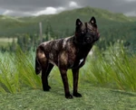 WQ-AE Knowledge-Base Little t.jpg (90 KB) Little-T