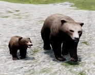 Predators (320 KB) Meet the Predators & Competitors: grizzly bear, coyote, ravens, eagles, cougars, red foxes, and dogs