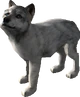 "Pure" white'"`UNIQ--ref-0000000C-QINU`"' pup. (Click to enlarge