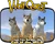 Wiki