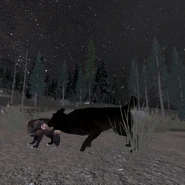 Wolverine Attacked.png (4.57 MB) A wolverine being attacked by a player.
