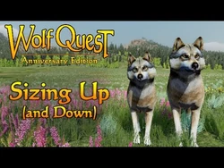 Sizing Up (and Down) posted 11-Jul-2023