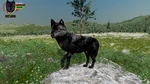Limpy | WolfQuest Wiki | Fandom