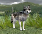 WQ-AE Knowledge-Base 870F.jpg (95 KB) 870F