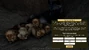 Learn how to survive and grow your pack through generations!