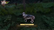 WQ-AE injuries notification-fracturedleg (devblog).jpg (126 KB) Notification about a fractured leg
