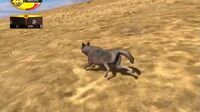 A wolf customization with an injured rear leg.[14]