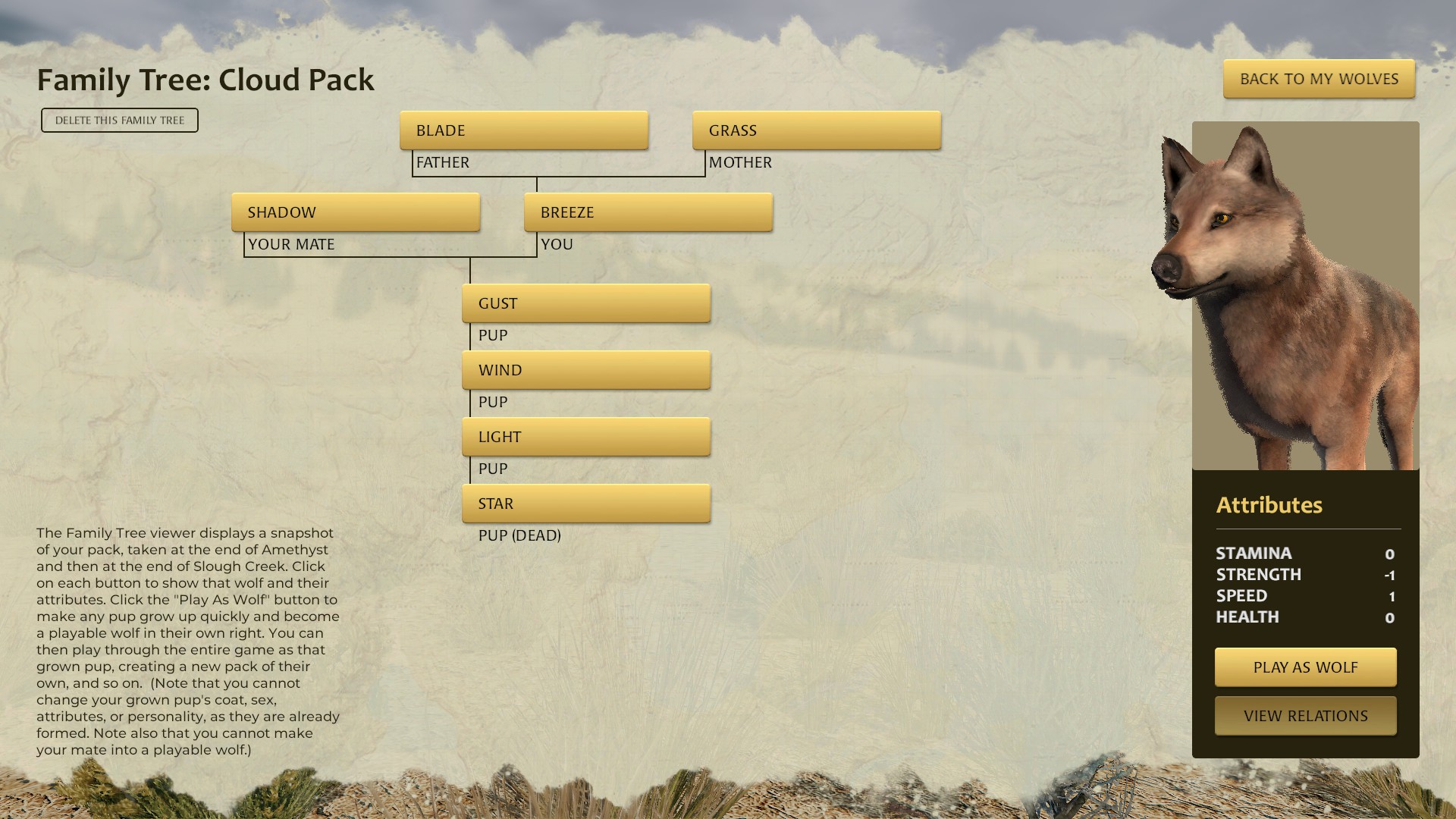 wolf to dog family tree