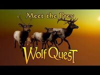 Meet the Prey posted 6-Jun-2019