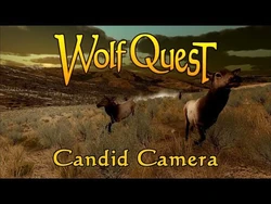 Candid Camera posted 18-Apr-2019