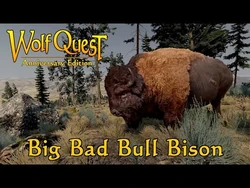 Big Bad Bull Bison posted 21-May-2020