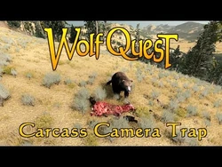 Carcass Camera Trap posted 13-Jun-2019