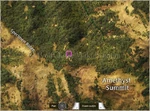 WQ-AE AM gnarled-tree-c minimap