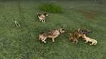 WQ-AE gray-gray-litter medium.jpg (772 KB) A litter born to two gray parents.